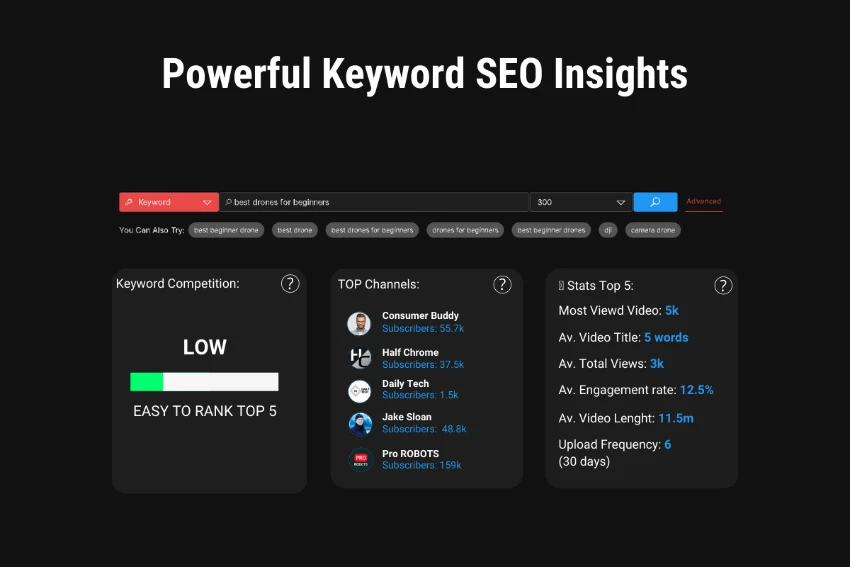 Biteplay SEO Insight