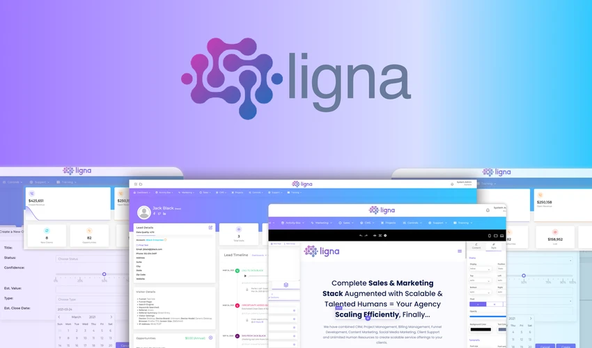 Ligna Review & Lifetime Deal