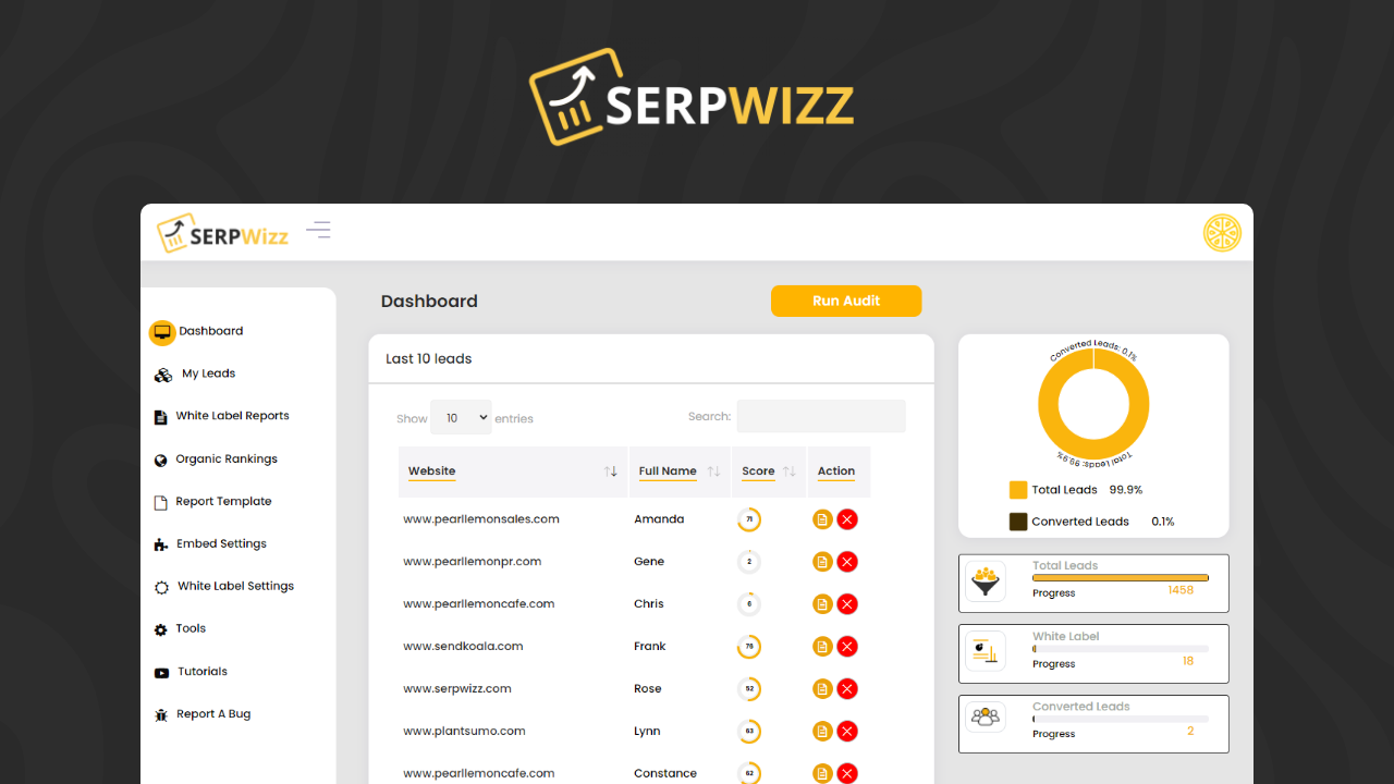 SERPWizz review